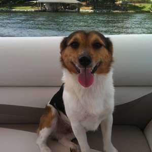 Meet your Posher, Addison